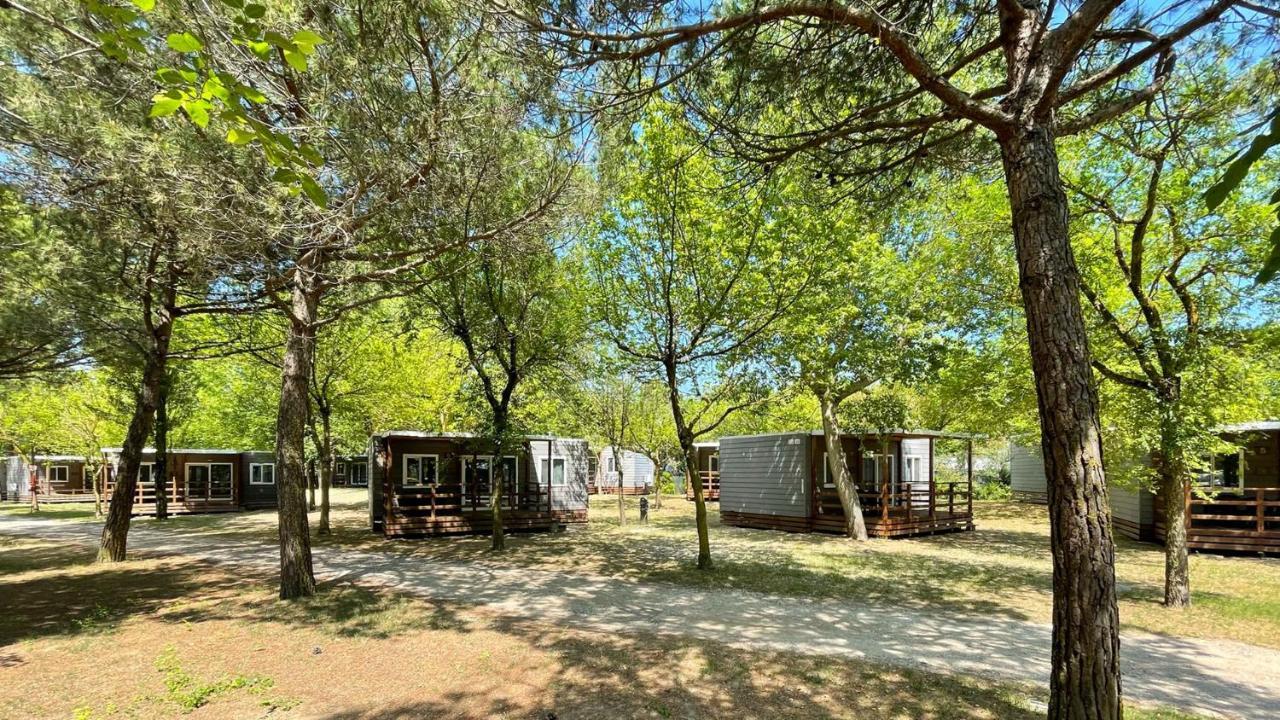 New Campsite In Camping Ca' Savio カヴァッリーノ・トレポルティ エクステリア 写真